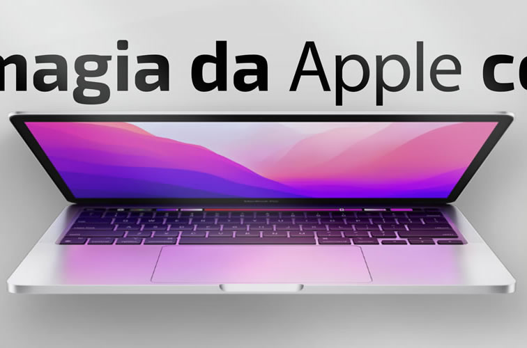 Capa da MARIO CELL